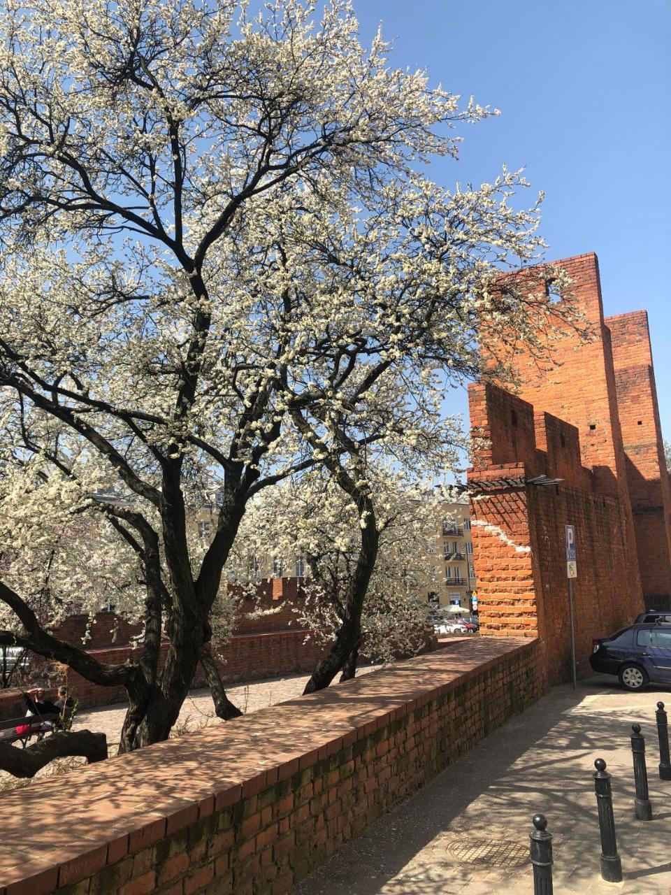Apartment Theater Academy Old Town ワルシャワ エクステリア 写真